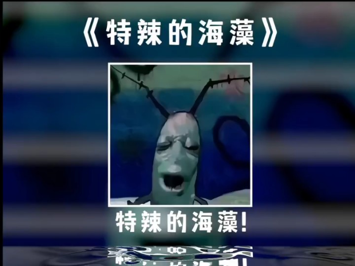 特辣的海藻是什么意思 特辣的海藻梗介绍