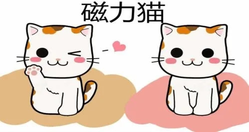 《cilimao磁力猫》最新版地址链接分享