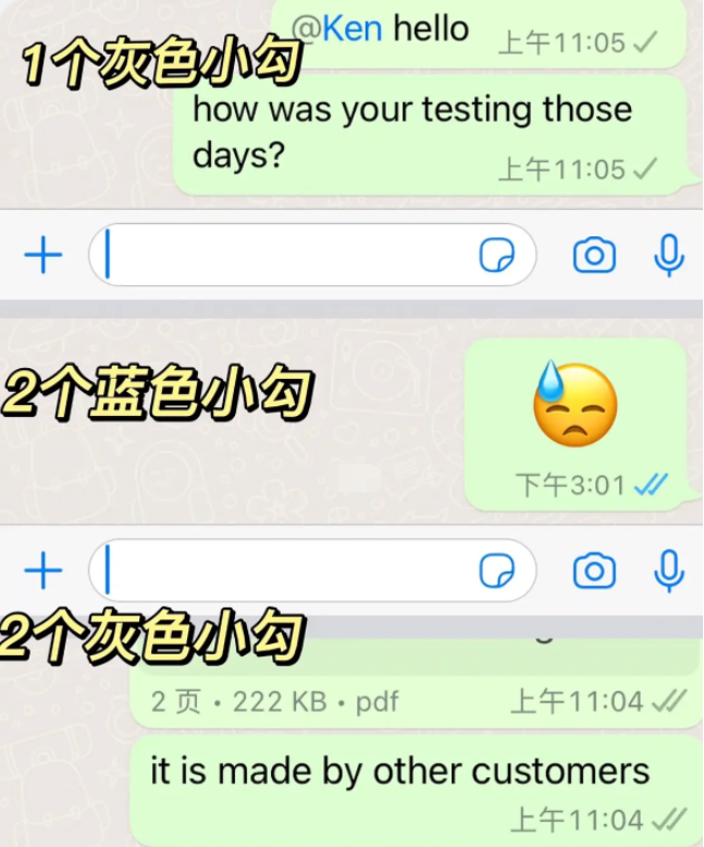 《WhatsApp》一个勾和两个勾有什么区别