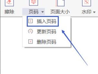 《极光PDF阅读器》给文档插入页码的操作方法